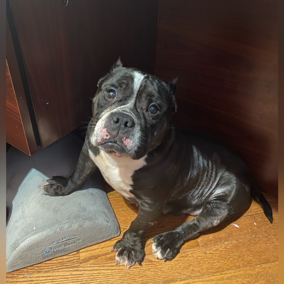 Meet Wendy, a Posh Ambassador! - Picture 4 of 16